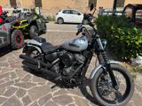 HARLEY-DAVIDSON Softail 107