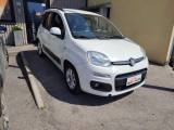 FIAT Panda 1.2 Lounge PREZZO REALE - NEOPATENTATI