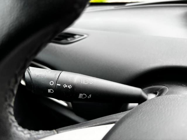 LANCIA YPSILON 1.3 MJT 16V 95 CV 5 PORTE S&S GO - foto 29