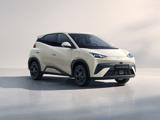 BYD Dolphin Surf 43,2 kWh Boost
