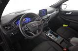 FORD Kuga Kuga 2.5 Plug In Hybrid 225 CV CVT 2WD ST-Line
