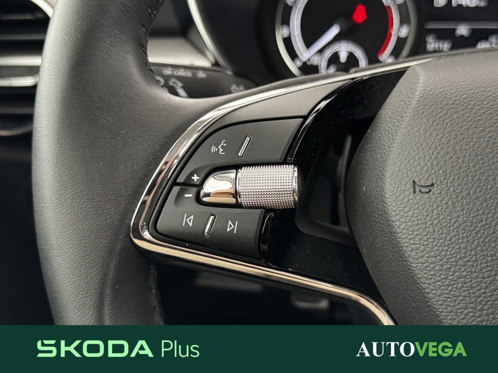 immagine usato SKODA Fabia 1.0 tsi evo style 95cv