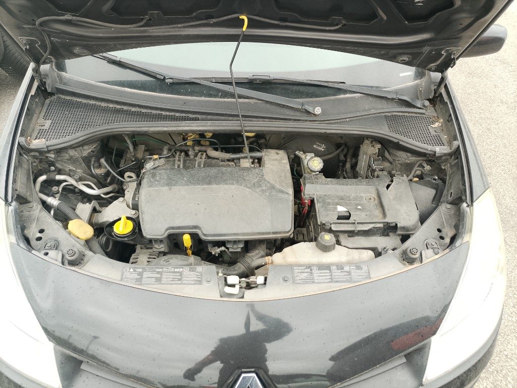 Immagine di RENAULT Clio 1.2 16V 5 porte del 11/2008 km 194267