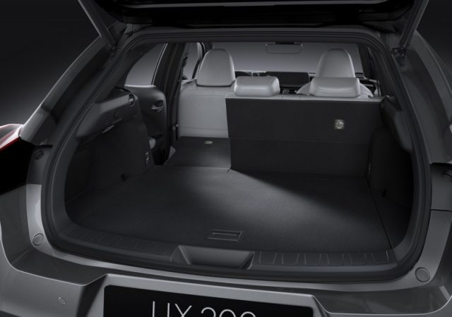 LEXUS OTHER 300H 4WD F-SPORT UX - foto 5