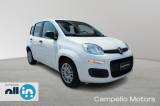 FIAT Panda Panda 1.0 70cv Hybrid Panda