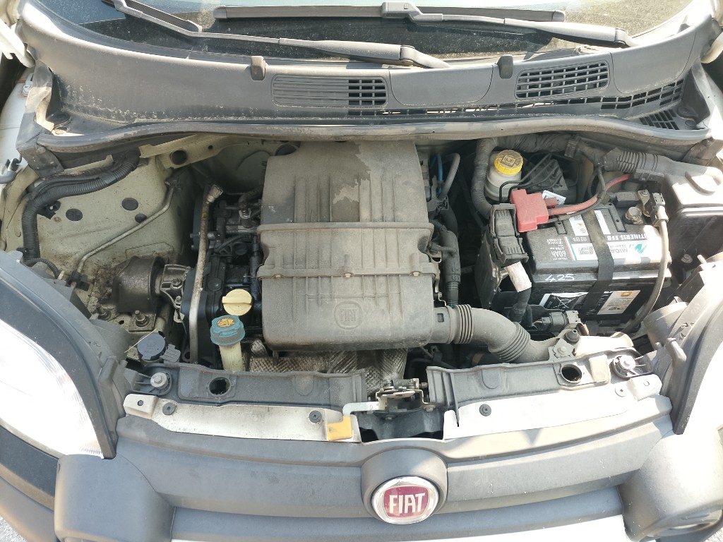 Immagine di FIAT Panda 1.2 City Cross del 01/2020 km 202511