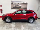 FORD Kuga 2.5 Full Hybrid 190 CV CVT 2WD Connect