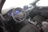 FORD Kuga Kuga 2.5 Plug In Hybrid 225 CV CVT 2WD ST-Line