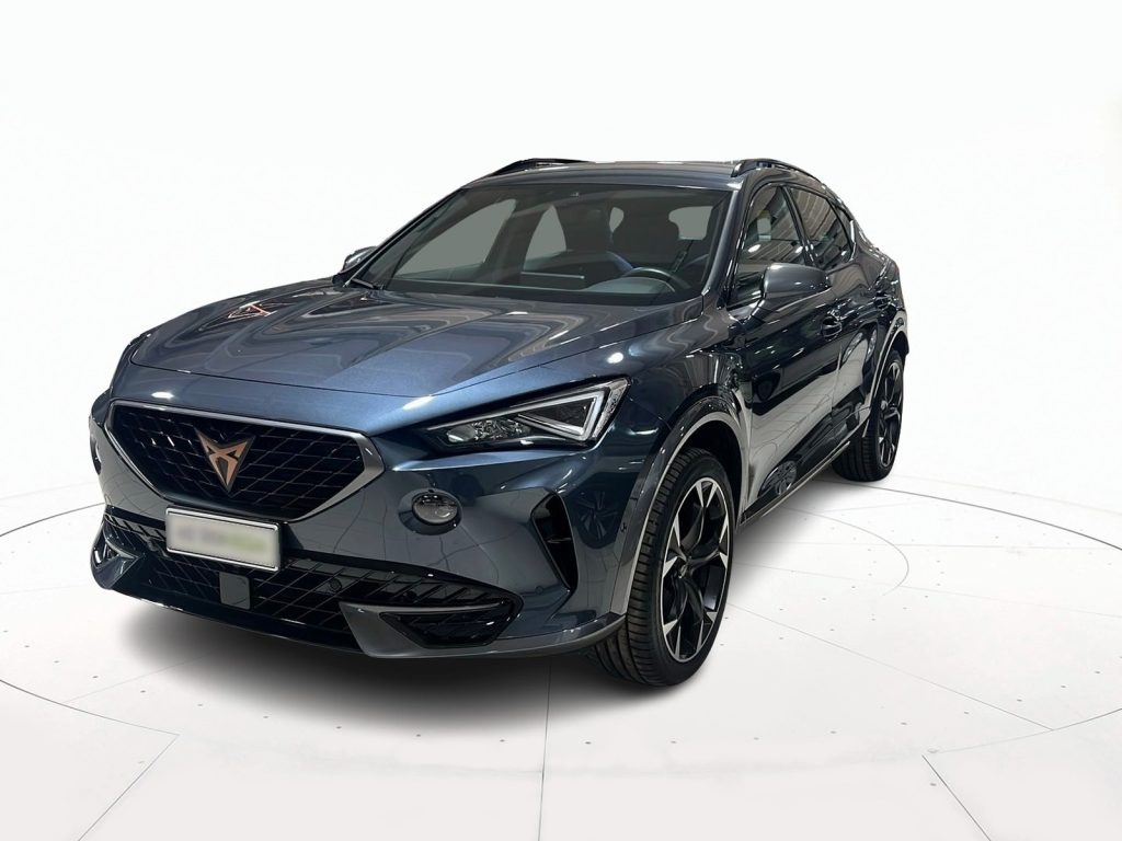 immagine usato CUPRA Formentor 1.5 tsi 150cv dsg