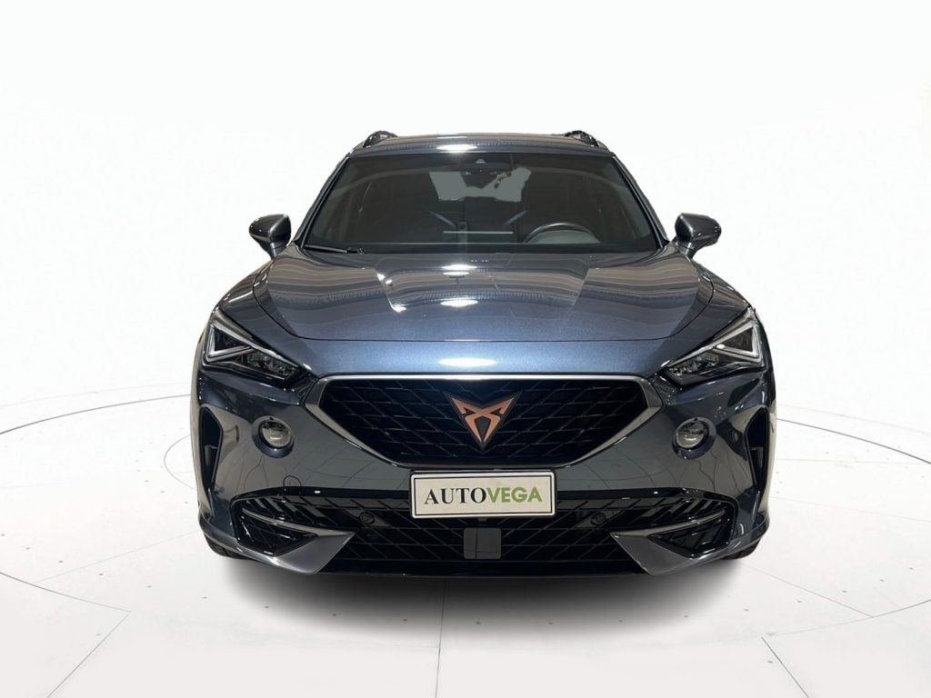 immagine usato CUPRA Formentor 1.5 tsi 150cv dsg
