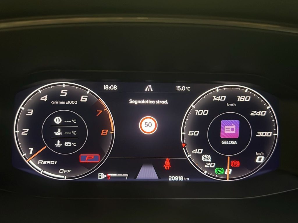 immagine usato CUPRA Formentor 1.5 tsi 150cv dsg