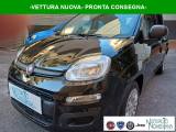 FIAT Panda 1.0 FireFly S&S Hybrid Icon 5°Posto Auto Nuova