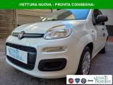 FIAT Panda 1.0 FireFly S&S Hybrid Icon 5°Posto Auto Nuova