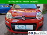 FIAT Panda 1.0 FireFly S&S Hybrid Icon 5°Posto Auto Nuova