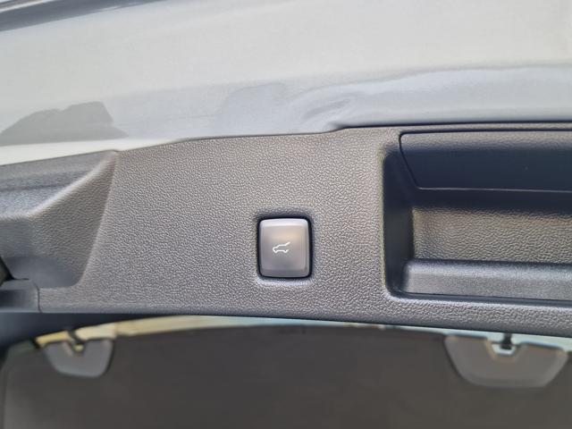 FORD KUGA 2.5 PLUG IN HYBRID 225 CV CVT 2W - foto 23