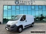 VENDO Veicoli commerciali a San Salvatore Telesino – foto 1