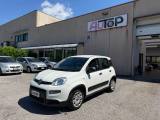 FIAT Panda 1.0 GSE S&S Hybrid Street Van 4 posti AUTOCARRO