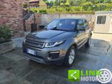 LAND ROVER Range Rover Evoque 2.0 SI4 5P PURE 241Cv