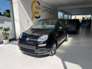 FIAT Panda usata, con Airbag Passeggero