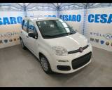 FIAT Pandina 1.0 firefly hybrid Pop s&s 65cv