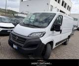 FIAT Ducato 28 2.3 MJT 120CV PC-TN Furgone