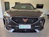 CUPRA Formentor 2.0 TDI 4Drive DSG 