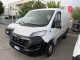 VENDO Veicoli commerciali a Tolentino – foto 1