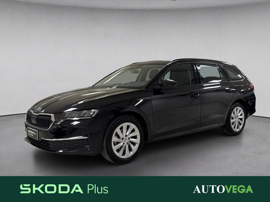 Immagine veicolo SKODA Octavia wagon 2.0 tdi executive 115cv Diesel