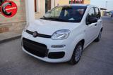 FIAT Pandina ICON