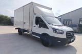 FORD TRANSIT  350 2.0 ECOBLUE 130CV