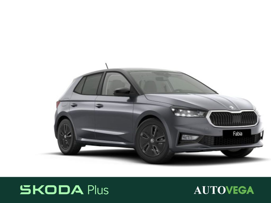 immagine usato SKODA Fabia 1.0 mpi 130 edition 80cv