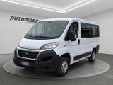 FIAT Ducato Pulmino 9 posti