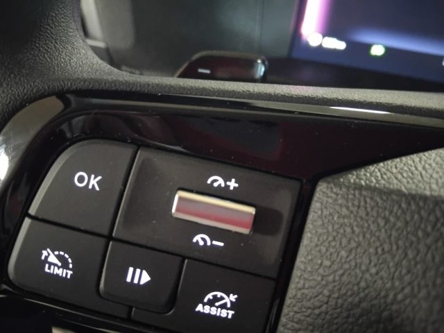 FIAT ULYSSE 2.0 BLUEHDI 180 CV AT8 L3 COMBI  - foto 41