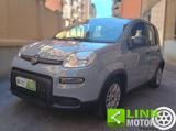 FIAT Panda 1.0 FireFly S&S Hybrid City Life NEOPATENTATI