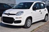 FIAT Panda 1.0 FireFly S&S Hybrid Icon *SENSORI*
