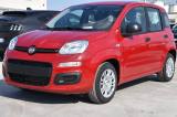 FIAT Panda 1.0 FireFly S&S Hybrid Icon *SENSORI*