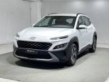 VENDO Auto a Montagna in Valtellina – foto 1