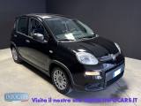 FIAT Panda 1.0 Hybrid 70 cv - Neopatentati - PROMO