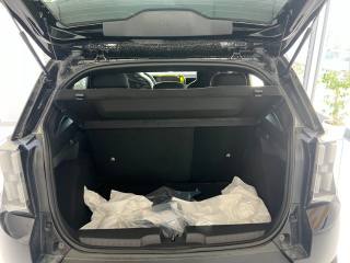 FIAT Grande Panda usata, con ESP