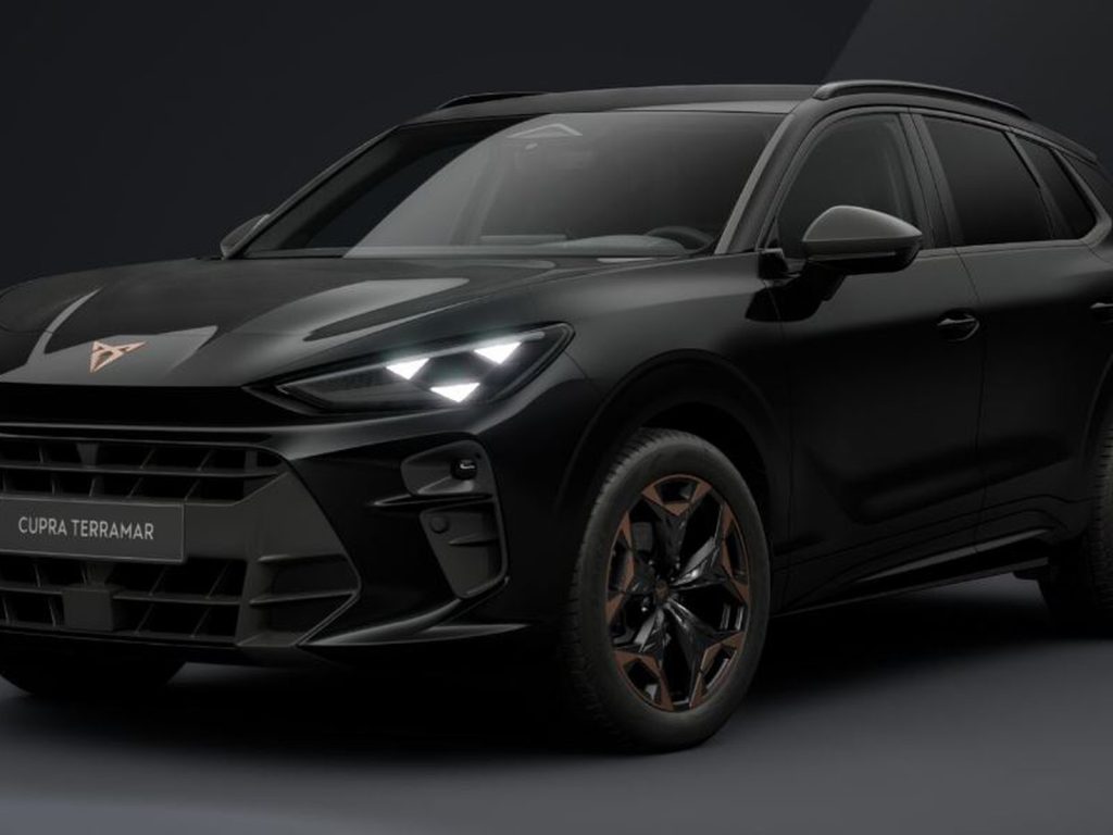 Immagine veicolo CUPRA Terramar 1.5 hybrid 150cv dsg Elettrica/Benzina