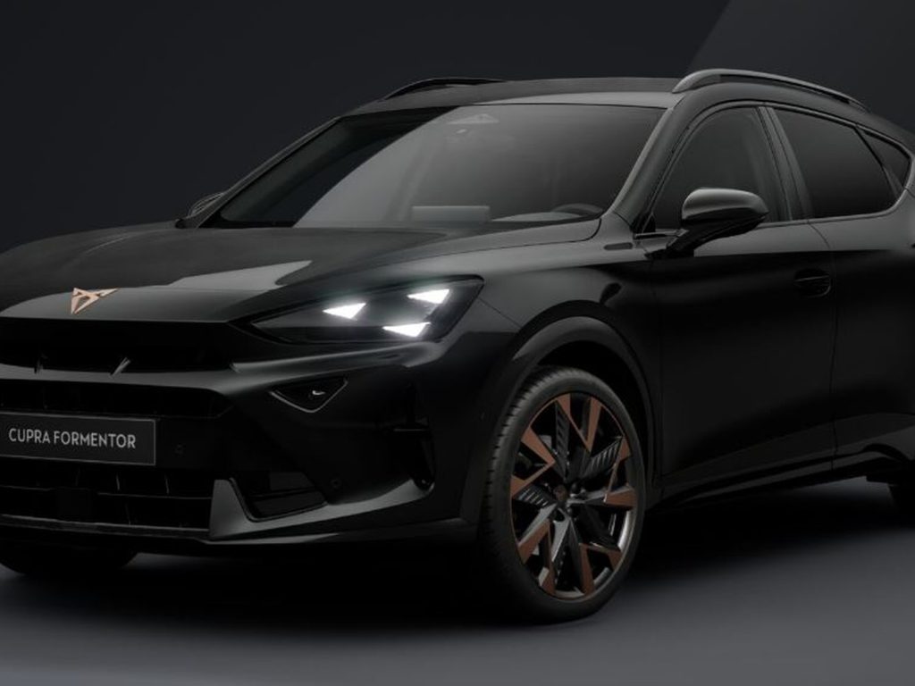 Immagine veicolo CUPRA Formentor 2.0 tdi business 150cv dsg Diesel
