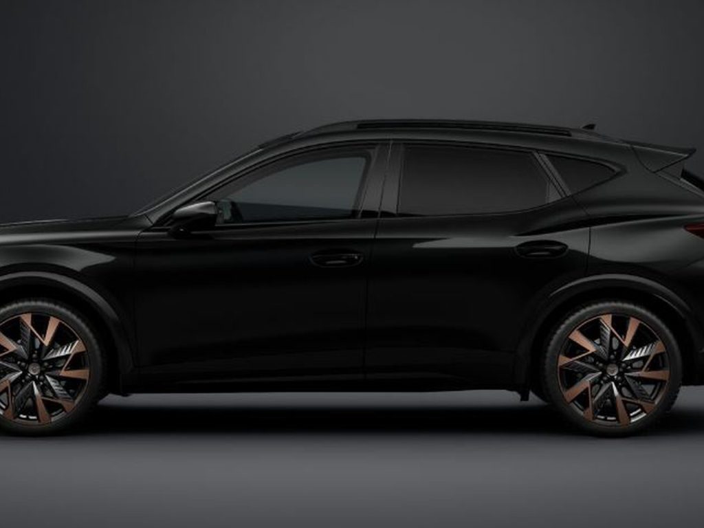 immagine nuovo CUPRA Formentor 2.0 tdi business 150cv dsg