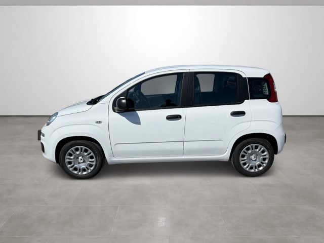 FIAT PANDINA 1.0 FIREFLY 65 CV HYBRID ICON - foto 7