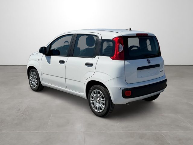 FIAT PANDINA 1.0 FIREFLY 65 CV HYBRID ICON - foto 6