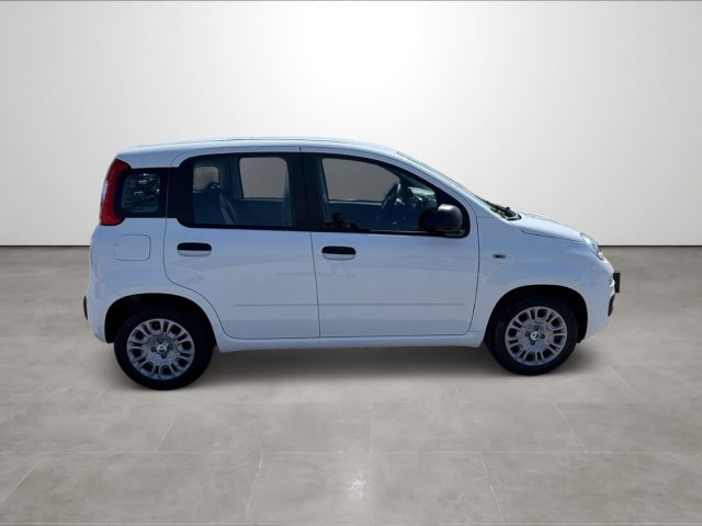 FIAT PANDINA 1.0 FIREFLY 65 CV HYBRID ICON - foto 8