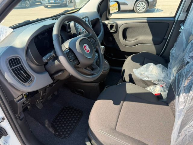 FIAT PANDINA 1.0 FIREFLY 65 CV HYBRID ICON - foto 11