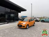 VENDO Auto a Russi – foto 1