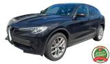 ALFA ROMEO Stelvio 2.0 Turbo 200 CV AT8 Q4 Super