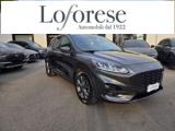 FORD Kuga 1.5 EcoBlue 120 CV 2WD ST-Line