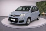 FIAT Panda III 1.0 HY FireFly 70Cv S&S Easy